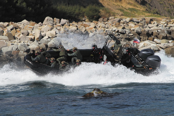 Some units do additional special training courses to solve emerging tasks